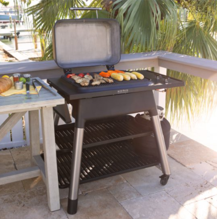 Everdure by heston - FORCE Gas Barbeque with Stand (ULPG)